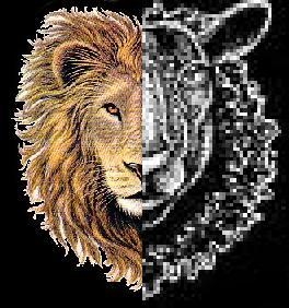 Aslan_Emanuel.jpg