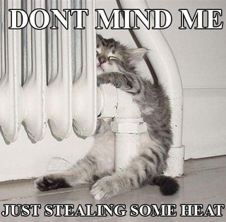 stealingsomeheat.jpg