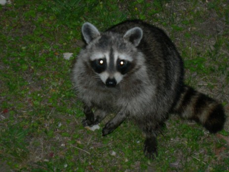 Picture_001.jpg