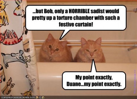 funny_pictures_cats_insult.jpg