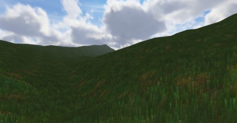 Picture_4.jpg