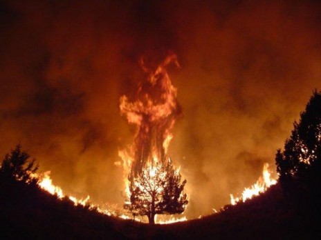 demon_in_fire.jpg