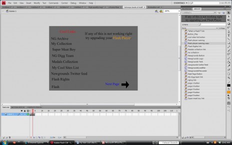 screen_shot_of_my_flash.jpg
