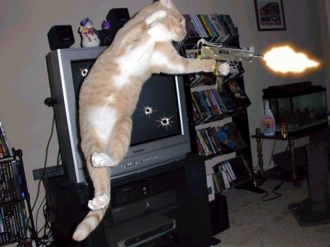 guns.jpg