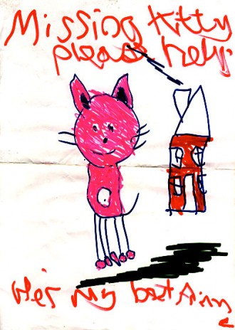 missingkitty.jpg