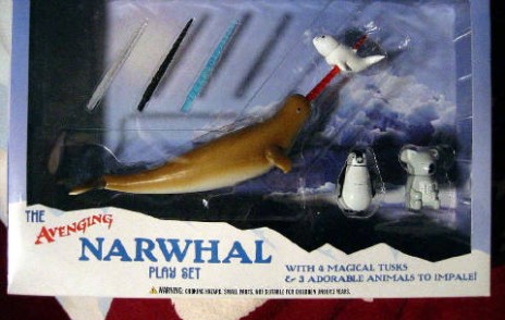 480narwhal.jpg