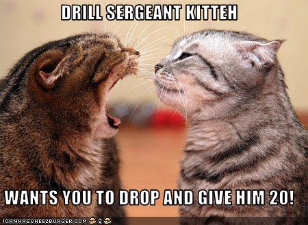 Drill_Sergent.jpg
