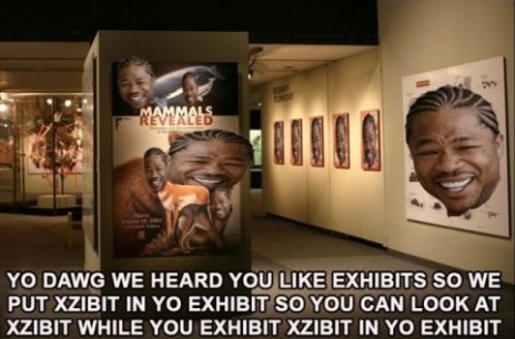yo_dawg_you_like_xzibit.jpg