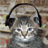 musickitty98x98.gif