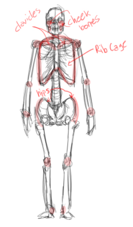 skeleton.jpg