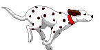 dog_dalmation_.gif