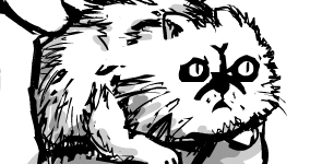 catpic.jpg