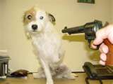 thumbnail.jpeg