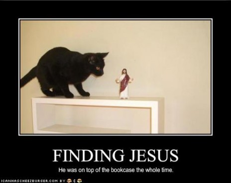 funny_pictures_your_cat_h.jpeg