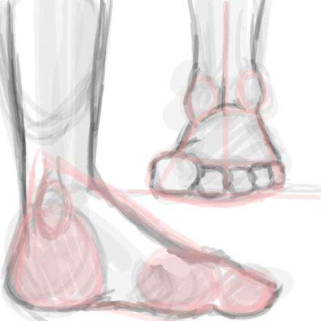 foot_copy.jpg