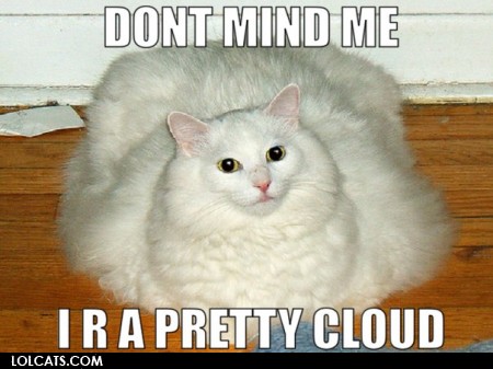 lolcatsdotcomot4baboprn7id.jpg