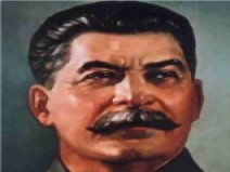 2519143.jpg