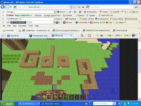 gdog_minecraft_1.JPG