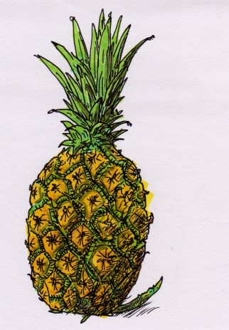 pineapple024.jpg