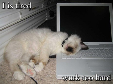 i_is_tired_wurk_too_hard.jpg