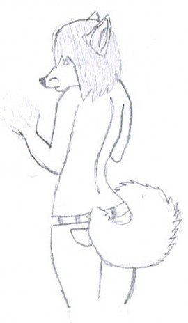 fox.jpg