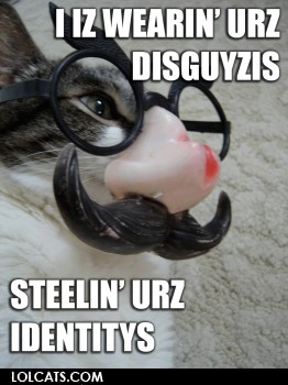 lolcatsdotcomcmk1wkkcbwh3f.jpg
