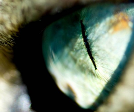 f_wallpaper3m_1f85923.jpg