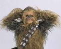 chewbacca_encore.jpg