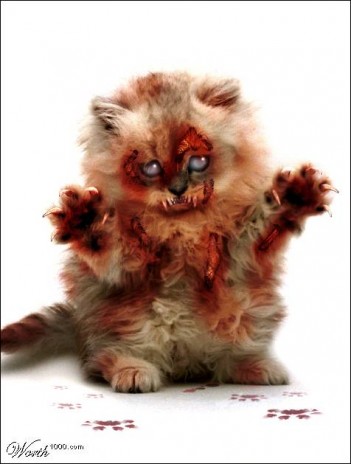 zombie_cat.jpg