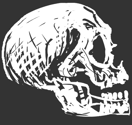 skullloop.gif