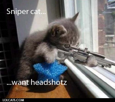 146035_Sniper_Cat.jpg