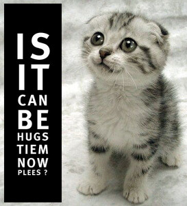 hugstiem.jpg