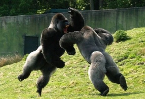 70_The_Most_Awesome_Pictur.jpg