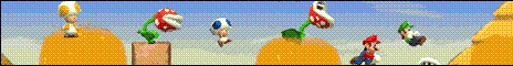 new_super_mario_bros_wii.gif