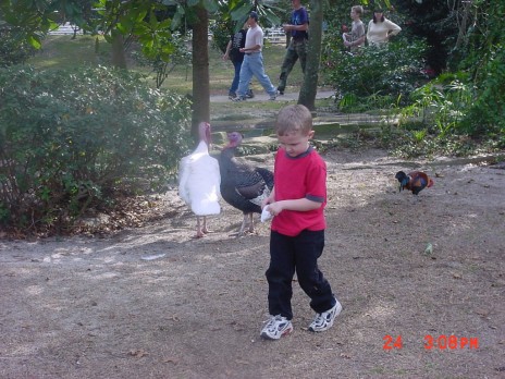 Picture_042.jpg