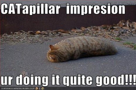Catapillar_impreshun.jpg