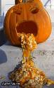 Pumpkin.jpg