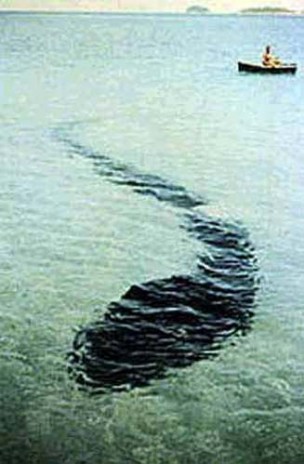 sea_serpent_lg_1_.jpg