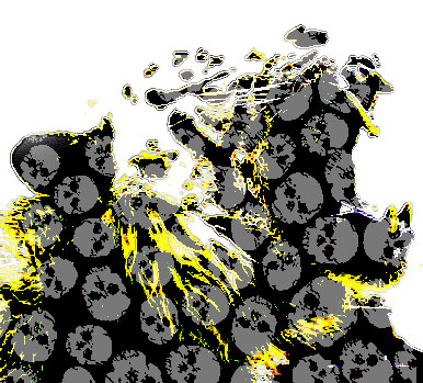 WhiteTigerDeformed0.jpg