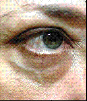 ojo2.GIF
