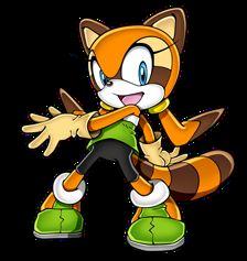 Marine_the_Raccoon.JPG