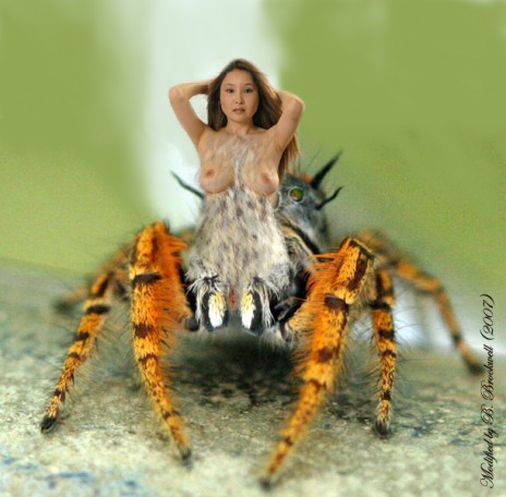 korean_bug.jpg
