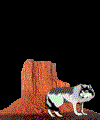 moon.gif