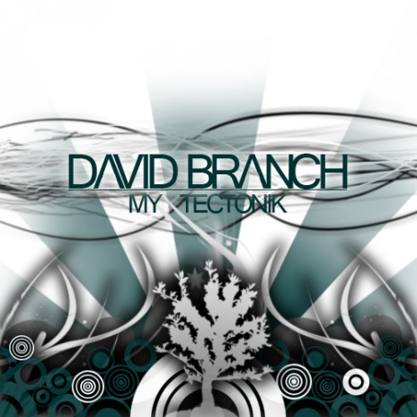 David_branch.jpg