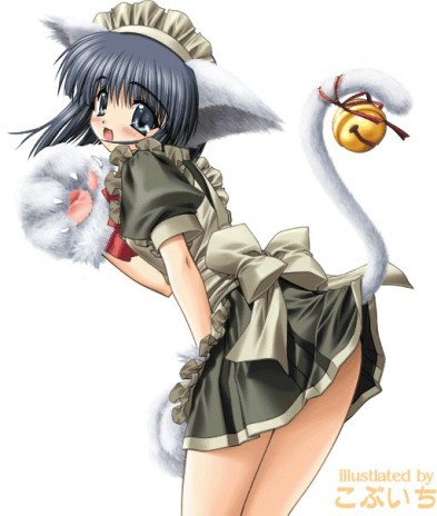 [Image: 151586_Ychan___f___nekos__nekos_a.jpg]