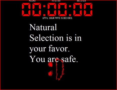 timer.JPG