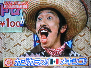 hanetobi05.jpg