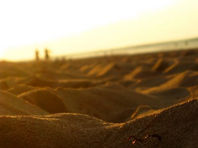 sand_closeup.jpg