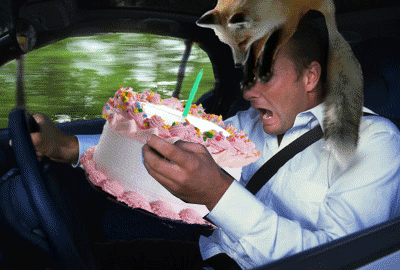 foxjumping_carcrash_BDAY.gif