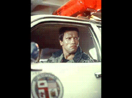 capt.GIF